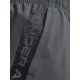 10. Under Armour M 1370388-012 Shorts