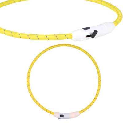 2. LED COLLAR DIAMETER 22CM MAXXPRO