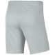 2. Nike Dry Park III NB K Kids Shorts Gray BV6865 097