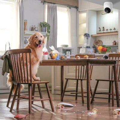 9. Dreame Navo Care SE 1 Incam indoor camera - white