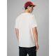 2. Men's regular printed T-shirt 4F 4FRSS26TTSHM3810-11S