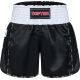 3. TOP TEN KicksOff Kickboxing Shorts (WAKO APPROVED)