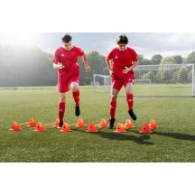 SELECT cones and poles training set
