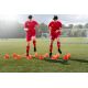 SELECT cones and poles training set