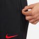 4. Pants Nike Poland Strike Jr DM9600-010