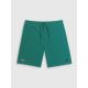 7. Men's 4F boardshorts with UPF50+ sun protection 4FRSS26UBDSM267-46S
