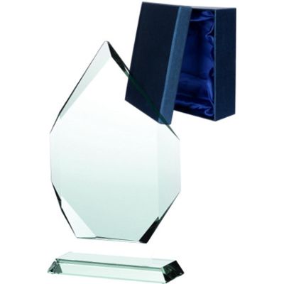 3. Glass trophy with a detached base and case