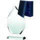 3. Glass trophy with a detached base and case