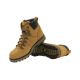 5. Cat Sire Wp Mid M P720691