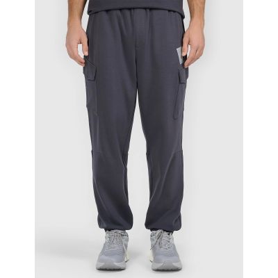 6. Men's jogger sweatpants 4F 4FRAW25TTROM1694-22S