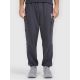 6. Men's jogger sweatpants 4F 4FRAW25TTROM1694-22S