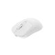 Fury Tanto T4 12000 DPI RGB White Wireless Gaming Mouse