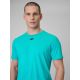 5. Men's quick-drying regular training T-shirt 4F 4FRSS26TFTSM2343-11M
