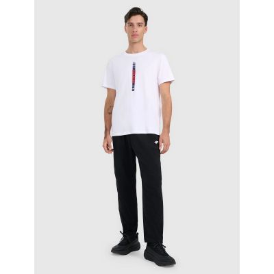 4. Men's regular printed T-shirt 4F 4FRAW25TTSHM3225-10S