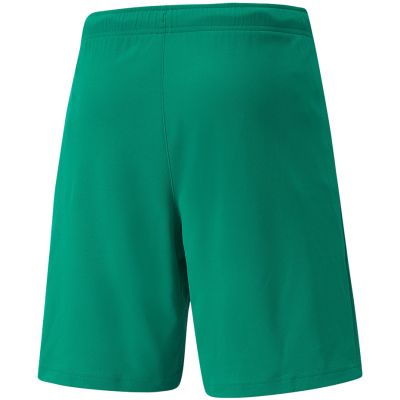 4. Puma teamRISE Shorts M 704942 05