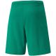 4. Puma teamRISE Shorts M 704942 05