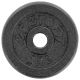 BLACK CAST IRON WEIGHT 2 KG ENERO FIT Ø26.5