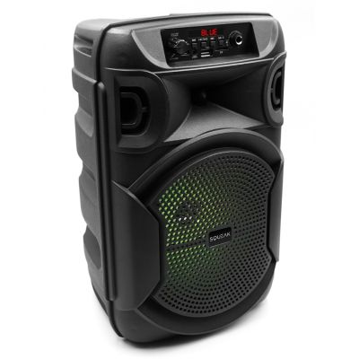 10. SQUEAK KARAOKE SPEAKER PULSETOWER BLUETOOTH 5.3, FM RADIO, MICROSD, AUX, USB SQ1006