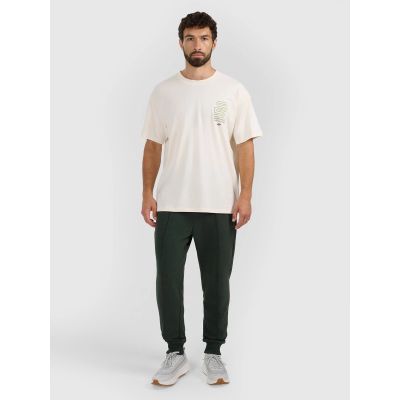 4. Men's jogger sweatpants 4F 4FRAW25TTROM1671-40M