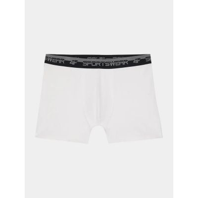 4. Boxer shorts 4F M 4FWSS24UBXSM036-10S