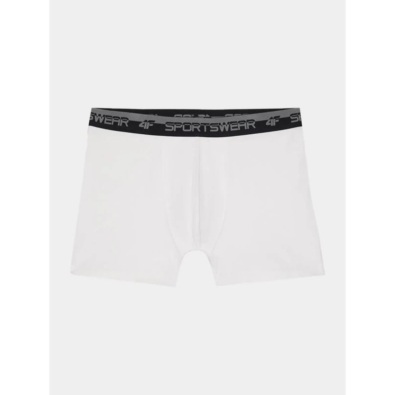 4. Boxer shorts 4F M 4FWSS24UBXSM036-10S