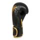 10. 8oz Boxing Gloves - Hawk - Origin Series