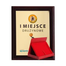 Plastic diploma with color touch laminate + case 275x220 mm