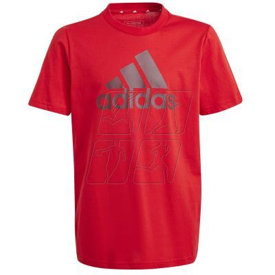 5. T-shirt adidas Big Logo Tee Jr IJ6262