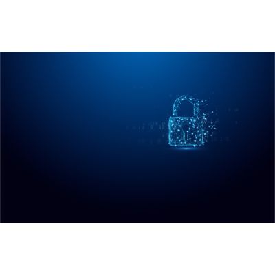 5. Kingston Technology IronKey Vault Privacy 50 USB Flash Drive 64GB USB Type-A 3.2 Gen 1 (3.1 Gen 1) Black, Blue
