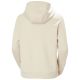 10. Helly Hansen Core Graphic Hoodie W 54239 034