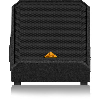 2. Behringer VS1220F 12" passive stage monitor