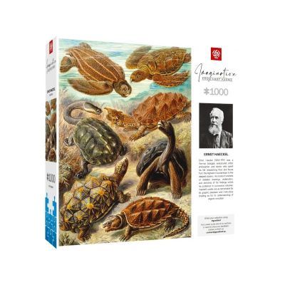 3. Good Loot Imagination Puzzle: Ernst Haeckel Chelonia - Sea Turtles, 1000 pieces