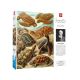 3. Good Loot Imagination Puzzle: Ernst Haeckel Chelonia - Sea Turtles, 1000 pieces