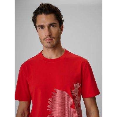 5. Men's cotton fan T-shirt 4F 4FRSS26TTSHM4200-62S