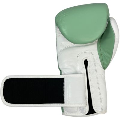 5. MASTERS RBT-PASTEL green boxing gloves