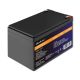 9. Qoltec LiFePO4 Lithium Iron Phosphate Battery 12.8V 12Ah 153.6Wh BMS
