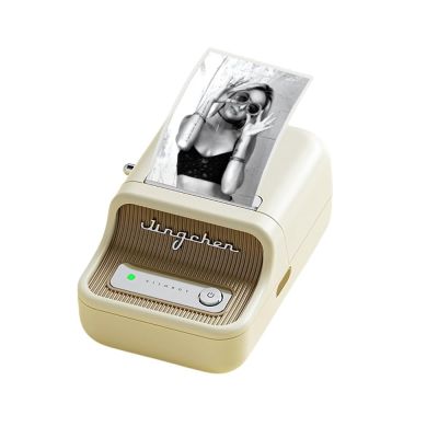 NIIMBOT B21 PRO label printer white