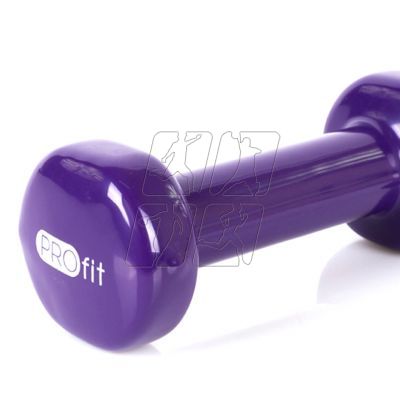 5. Vinyl dumbbell Profit 0.5kg DK 4102