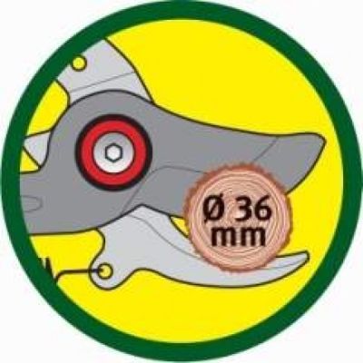 4. Profi-Baumschere RR-VM Bypass pruning shears, multi-star