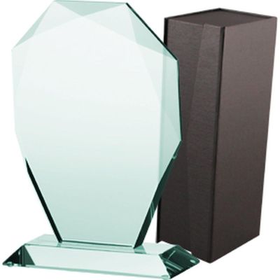 3. Glass trophy with case
