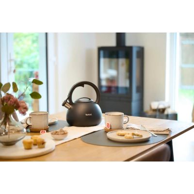 2. TEFAL N4180410 non-electric kettle