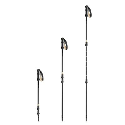 4. Spokey Trail trekking poles SPK-944827