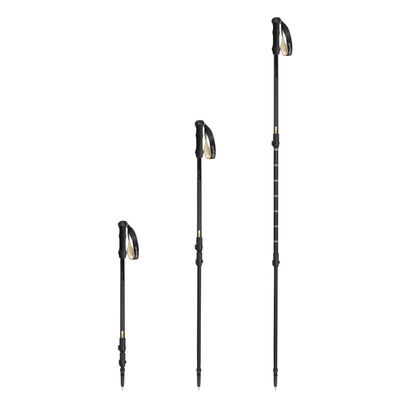 4. Spokey Trail trekking poles SPK-944827