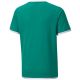 2. Puma teamLIGA Jersey Jr. 704925 05