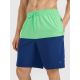 5. Men's boardshorts 4F 4FWSS25UBDSM135-42S