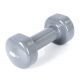 19. Vinyl dumbbell PROfit 0.5kg DK 4102