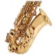 V-TONE AS 100 alto saxophone with case set