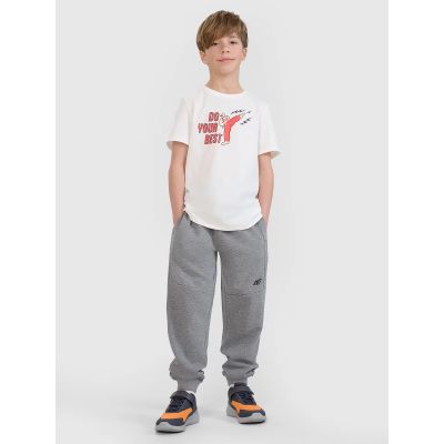 3. Boy's regular printed T-shirt 4F 4FJRSS25TTSHM2643-11S