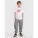 3. Boy's regular printed T-shirt 4F 4FJRSS25TTSHM2643-11S