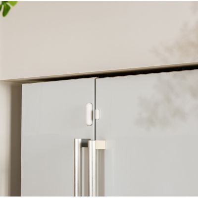 13. Door and Window Sensor P2 (DW-S02D)